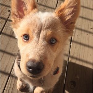 Meet your Posher, Kaeli